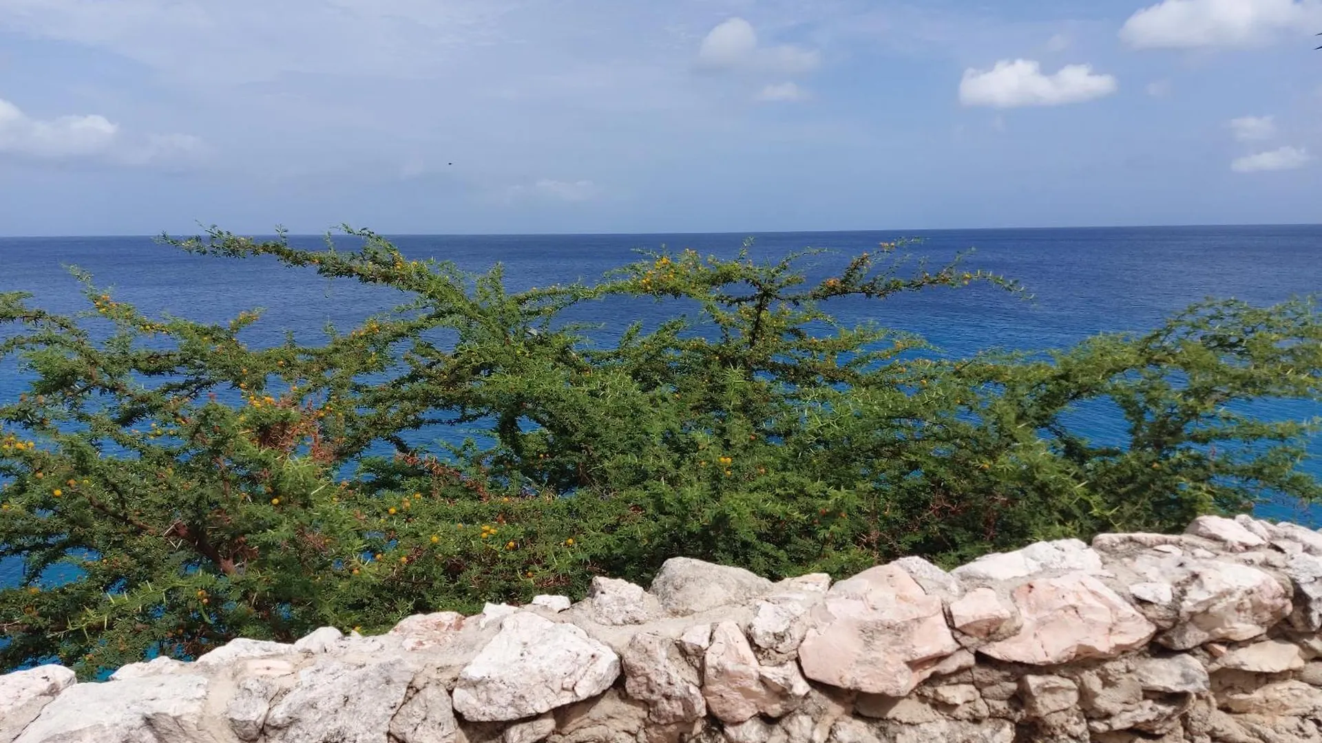 Apartament Bon Bini Lagun Curacao 0*,  Curaçao