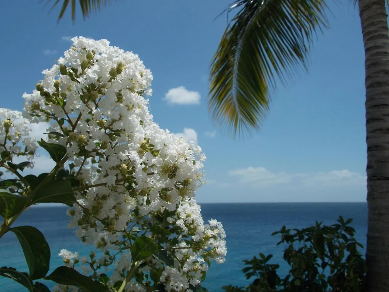 Apartament Bon Bini Lagun Curacao 0*,  Curaçao