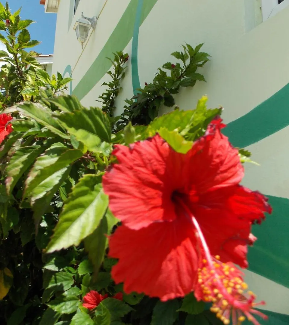 Apartament Bon Bini Lagun Curacao