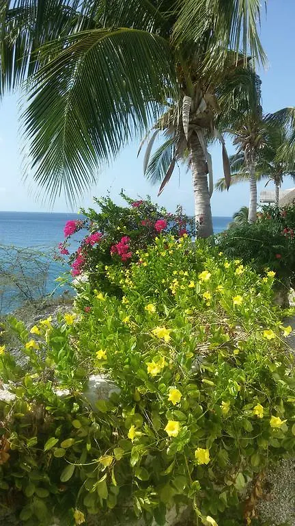 Bon Bini Lagun Curacao Διαμέρισμα 0*,  Κουρασάο