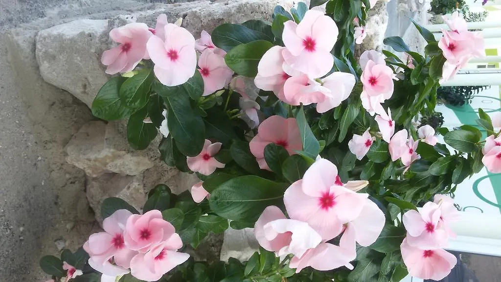 Bon Bini Lagun Curacao Διαμέρισμα 0*,  Κουρασάο